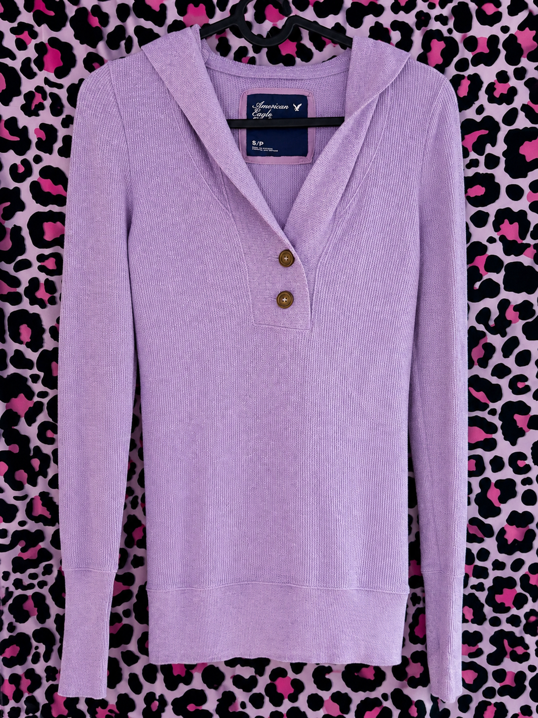 American Eagle Hooded Sweatshirt
